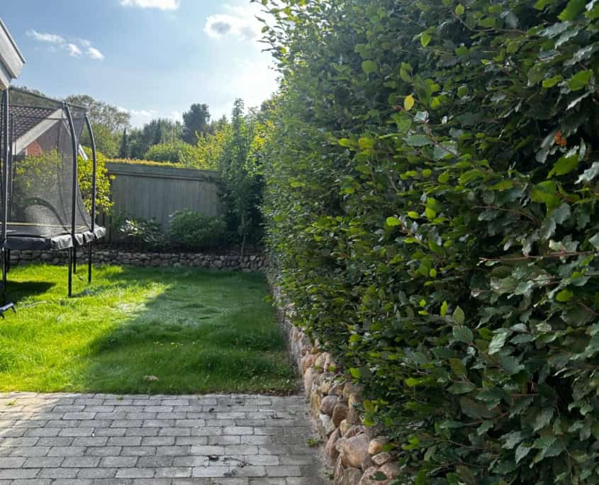 Have med trampolin og flot klippet hæk af anlægsgartner i Hillerød