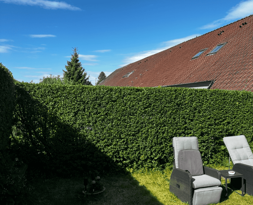 Efter billede af hækklipning af anlægsgartner i Herlev